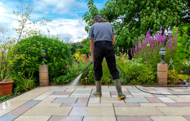 Best Spring Cleaning  in Bellevue, ID